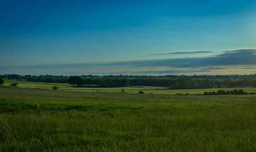 Scenic view of grassy field against blue sky