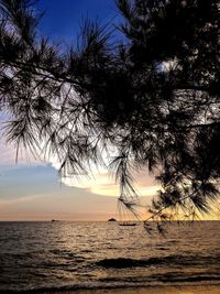 Silhouette trees by sea against sky during sunset