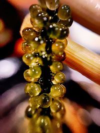 Close-up of ring on table