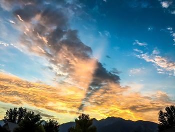 Low angle view of silhouette trees against sky during sunset