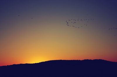 Silhouette birds flying against sky during sunset