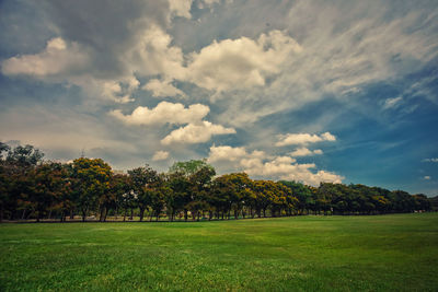 Trees on field against sky