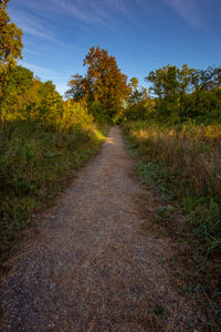 Road amidst trees against sky