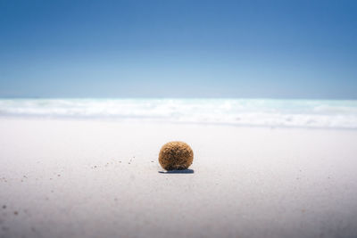 Close-up of pebbles on beach