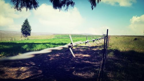 Scenic view of grassy field against cloudy sky