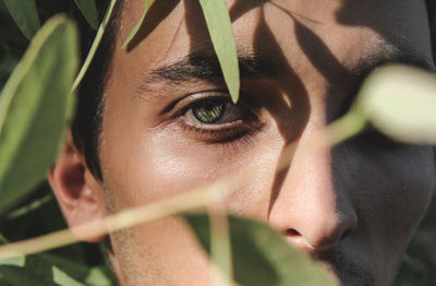 Young man seen through leaves