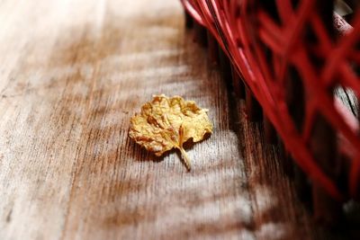 Close-up of dry leaf on table