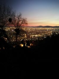 Silhouette of tree by illuminated city against sky during sunset