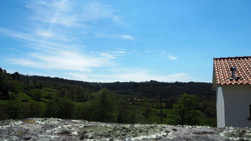 Trees against sky