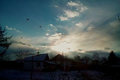 Silhouette houses and trees against sky during sunset