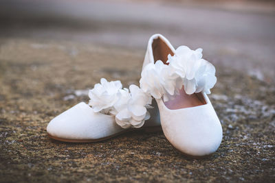 Close-up of white roses on pebbles