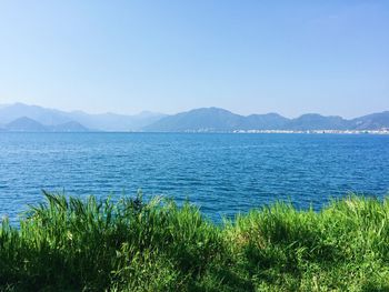 Scenic view of lake against clear blue sky