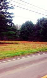 Road by trees against sky