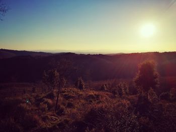 Scenic view of landscape against clear sky during sunset