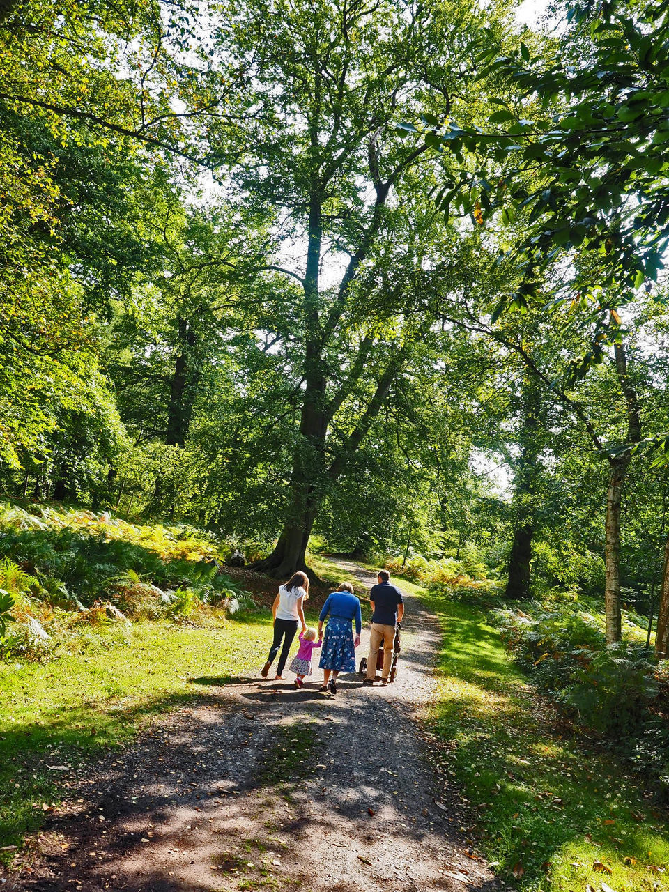 REAR VIEW OF WOMEN WALKING AMIDST TREES