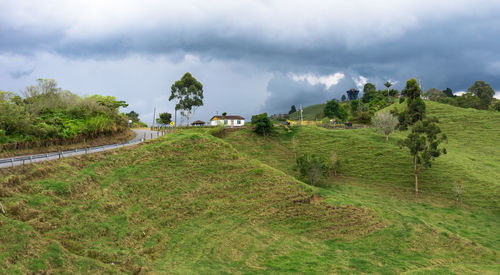 Scenic view of field against sky