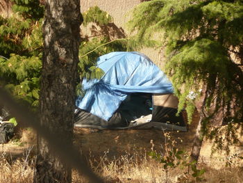 Homeless encampment on branham lane,san jose,california october 10,2018