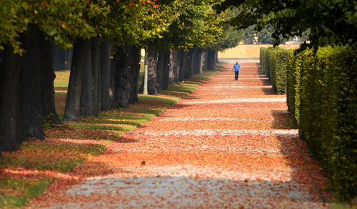 People walking on footpath