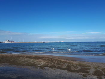 Scenic view of sea against blue sky