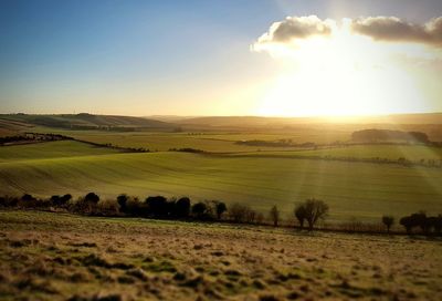 Scenic view of field against sky during sunset