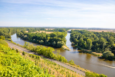 Scenic view of river amidst trees against sky