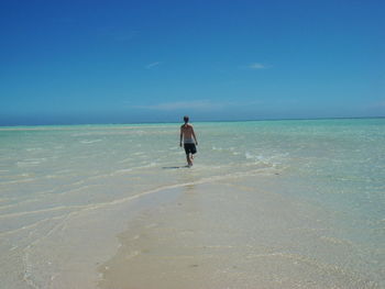 Rear view of man on beach against sky