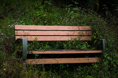 Empty bench against grass