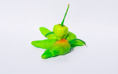 Close-up of green chili pepper against white background