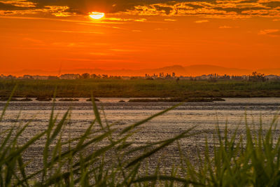 Scenic view of field against sky during sunset