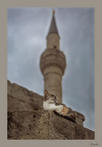architecture