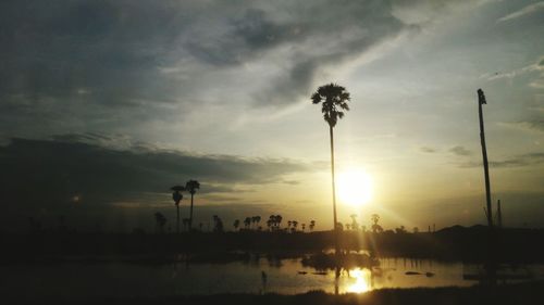 Silhouette palm trees on beach against sky during sunset