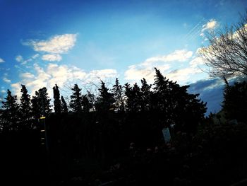 Silhouette trees against sky