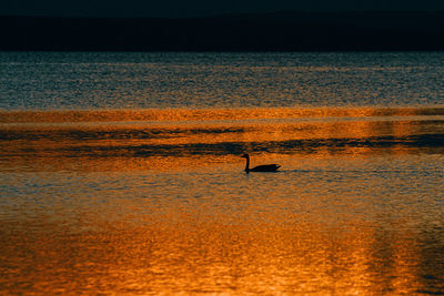 Scenic view of sea during sunset