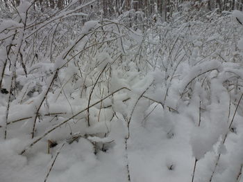 High angle view of snow covered field