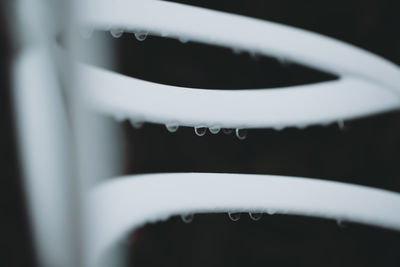 Close-up of raindrops