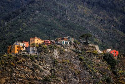 Houses in a town