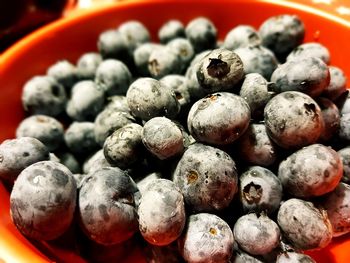 Close-up of fruits in bowl