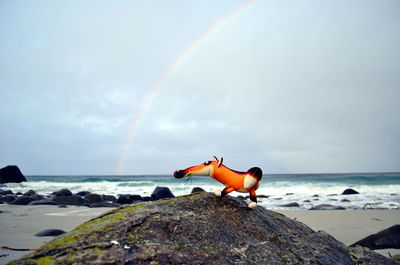 View of rainbow on beach