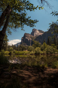 Yosemite national park. photo taken in july 2022.