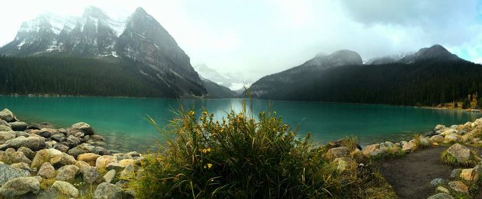 Scenic view of lake