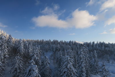 Scenic view of snow covered land against sky