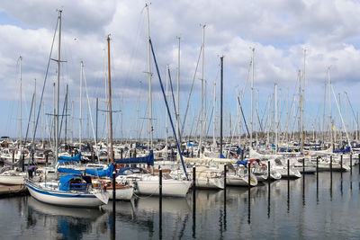 Sailboats moored in harbor