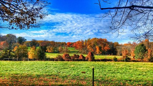 Scenic view of grassy field against cloudy sky