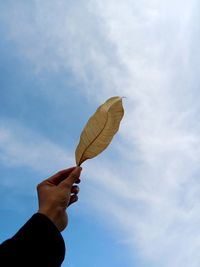 Low angle view of hand holding umbrella against sky