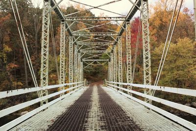 Walkway amidst trees