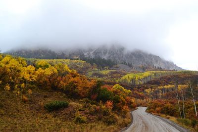 Road amidst trees and mountains against sky