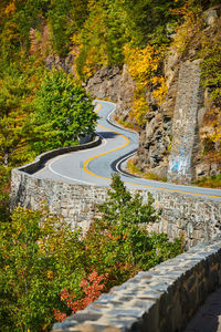 High angle view of road amidst trees