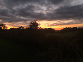 Silhouette trees on landscape against sky during sunset