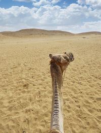 Scenic view of desert against sky