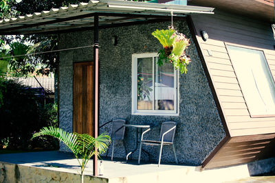 Potted plants outside house in building